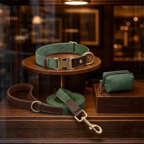 Didog 4.5ft Faux Leather Dog Leash for Small to Medium Dogs – Soft Padded Handle, Green