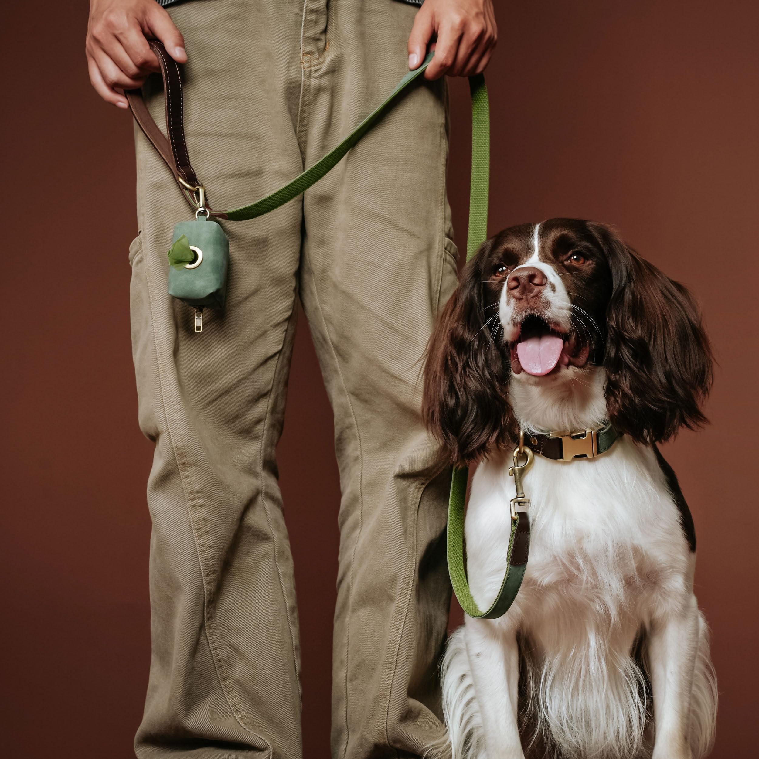 Didog 4.5ft Faux Leather Dog Leash for Small to Medium Dogs – Soft Padded Handle, Green