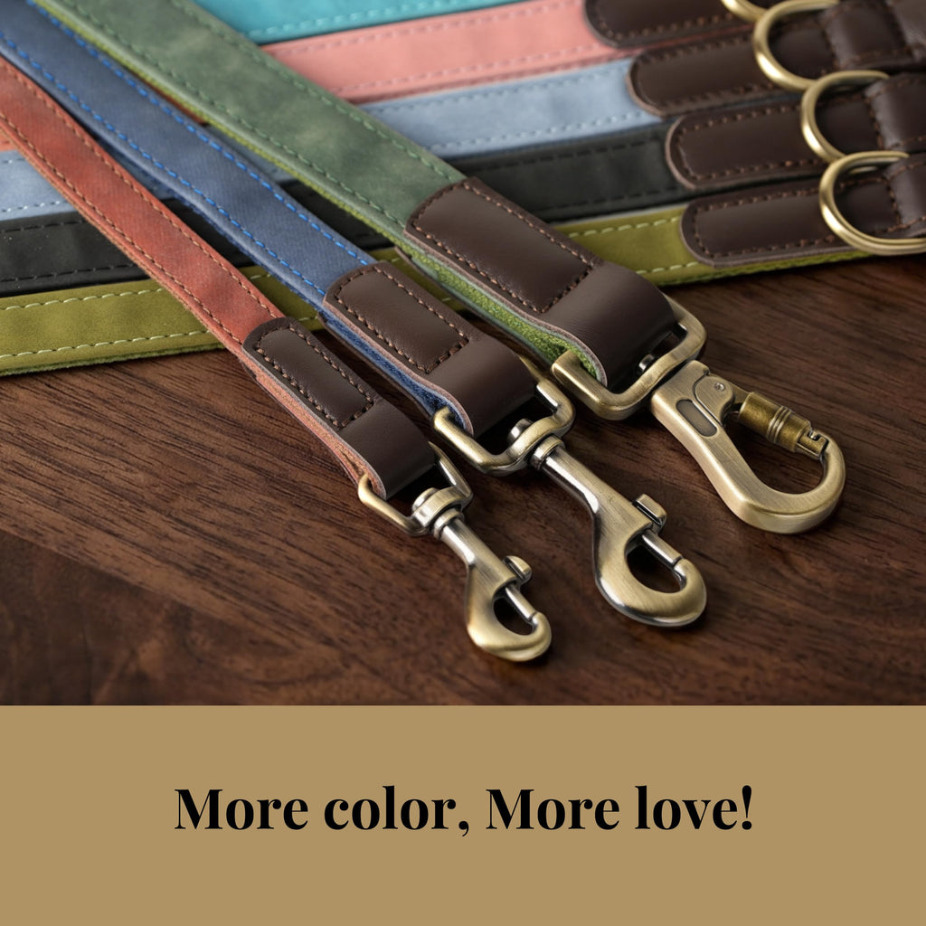 Didog 4.5ft Faux Leather Dog Leash for Small to Medium Dogs – Soft Padded Handle, Green