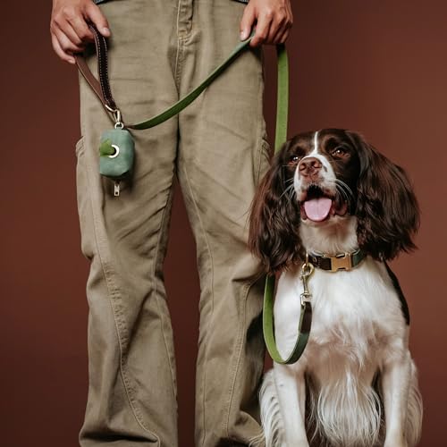 Didog 4.5ft Faux Leather Dog Leash for Small to Medium Dogs – Soft Padded Handle, Green