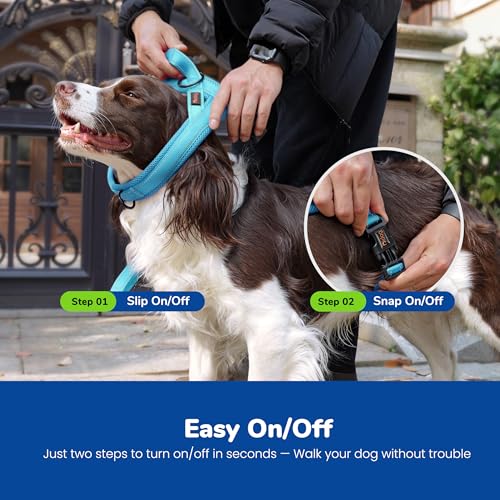 Didog No Pull Dog Harness - Breathable Mesh Padded Vest for Small Dogs, XS Blue (15-18")