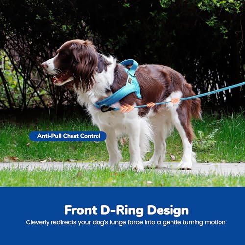 Didog No Pull Dog Harness - Breathable Mesh Padded Vest for Small Dogs, XS Blue (15-18")