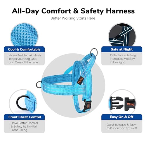 Didog No Pull Dog Harness - Breathable Mesh Padded Vest for Small Dogs, XS Blue (15-18")