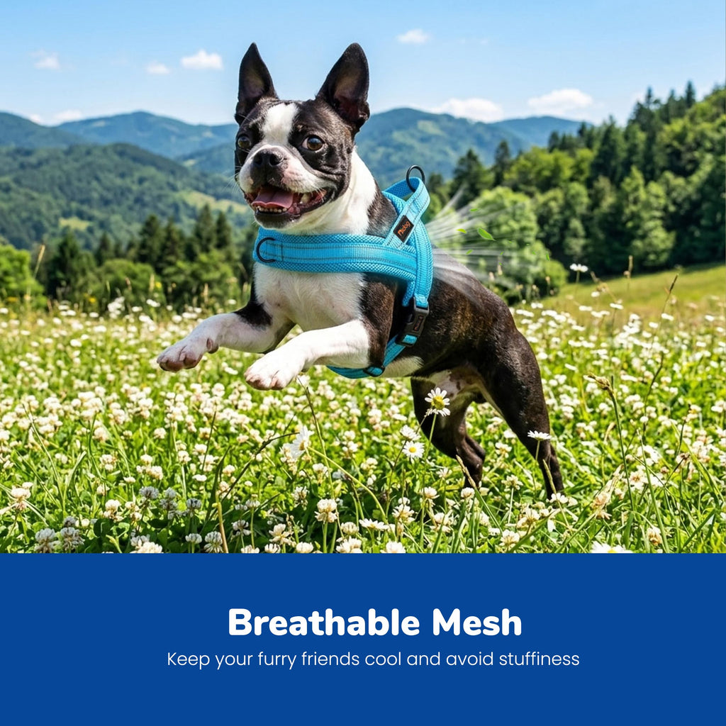 Didog No Pull Dog Harness - Breathable Mesh Padded Vest for Small Dogs, XS Blue (15-18")