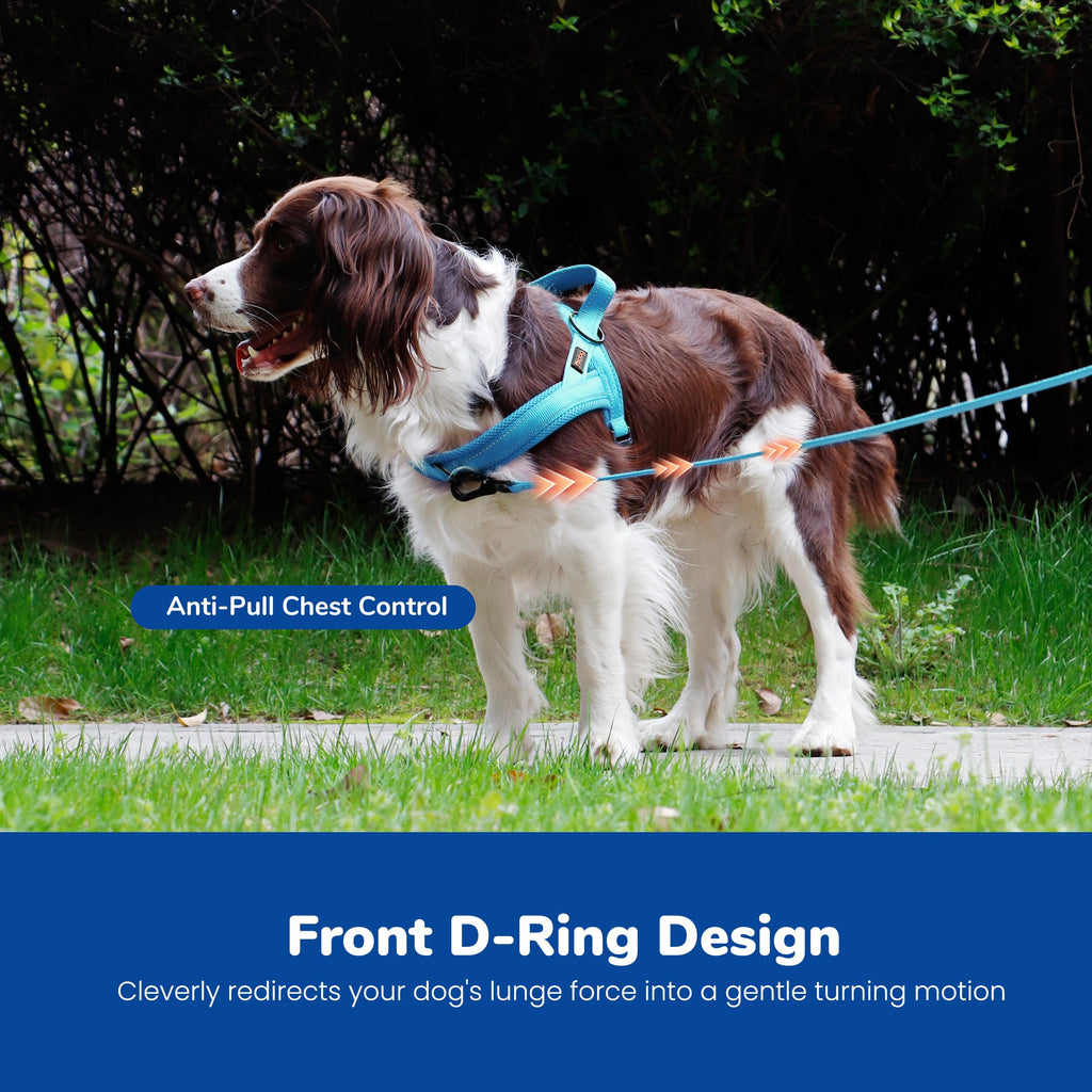 Didog No Pull Dog Harness - Breathable Mesh Padded Vest for Small Dogs, XS Blue (15-18")