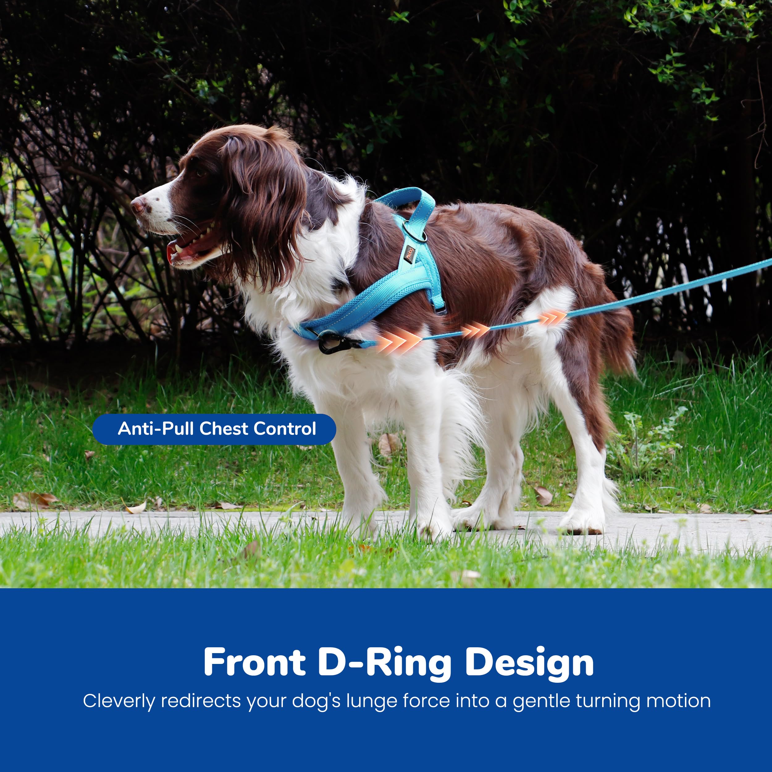 Didog No Pull Dog Harness - Breathable Mesh Padded Vest for Small Dogs, XS Blue (15-18")