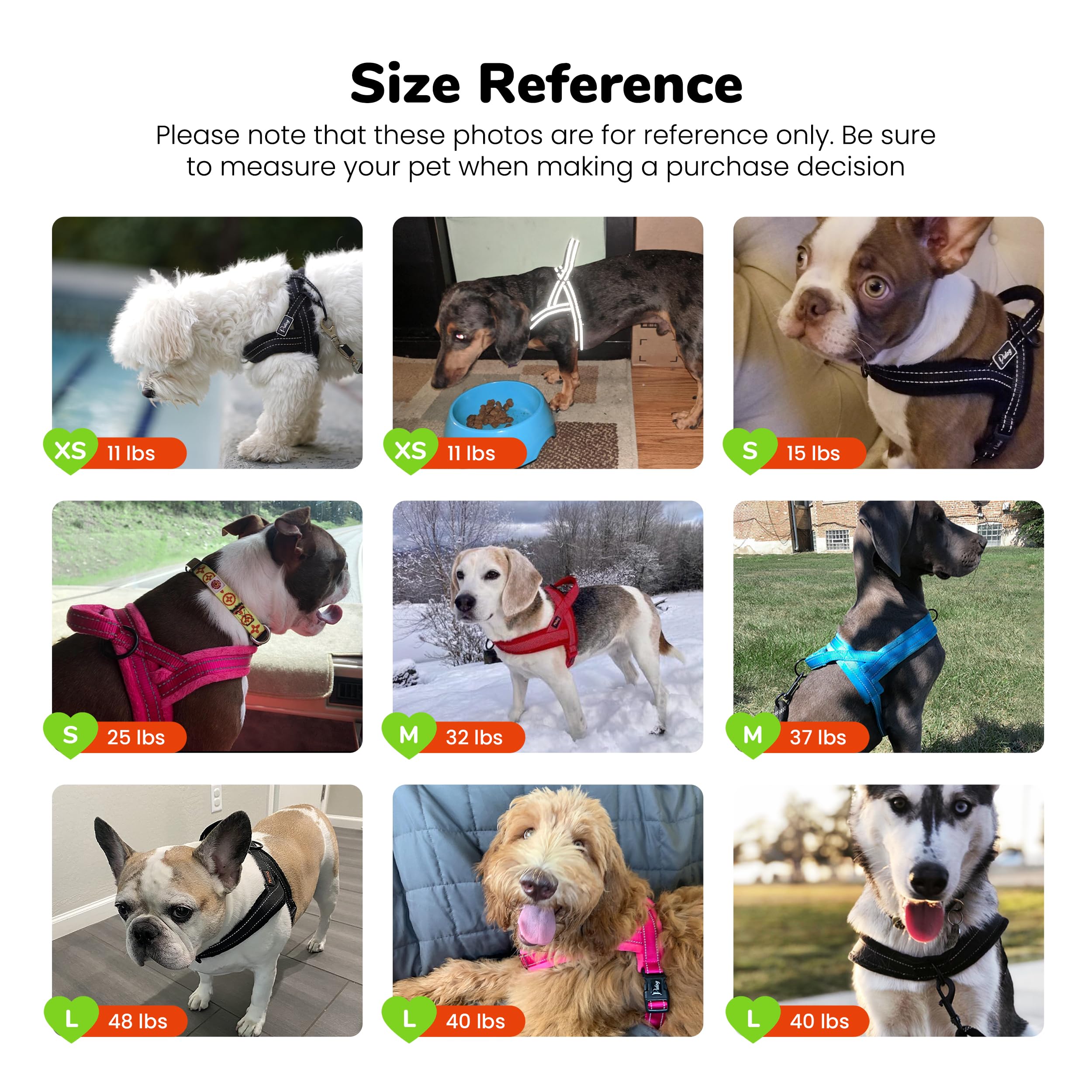 Didog No Pull Dog Harness - Breathable Mesh Padded Vest for Small Dogs, XS Blue (15-18")