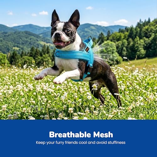 Didog No Pull Dog Harness - Breathable Mesh Padded Vest for Small Dogs, XS Blue (15-18")