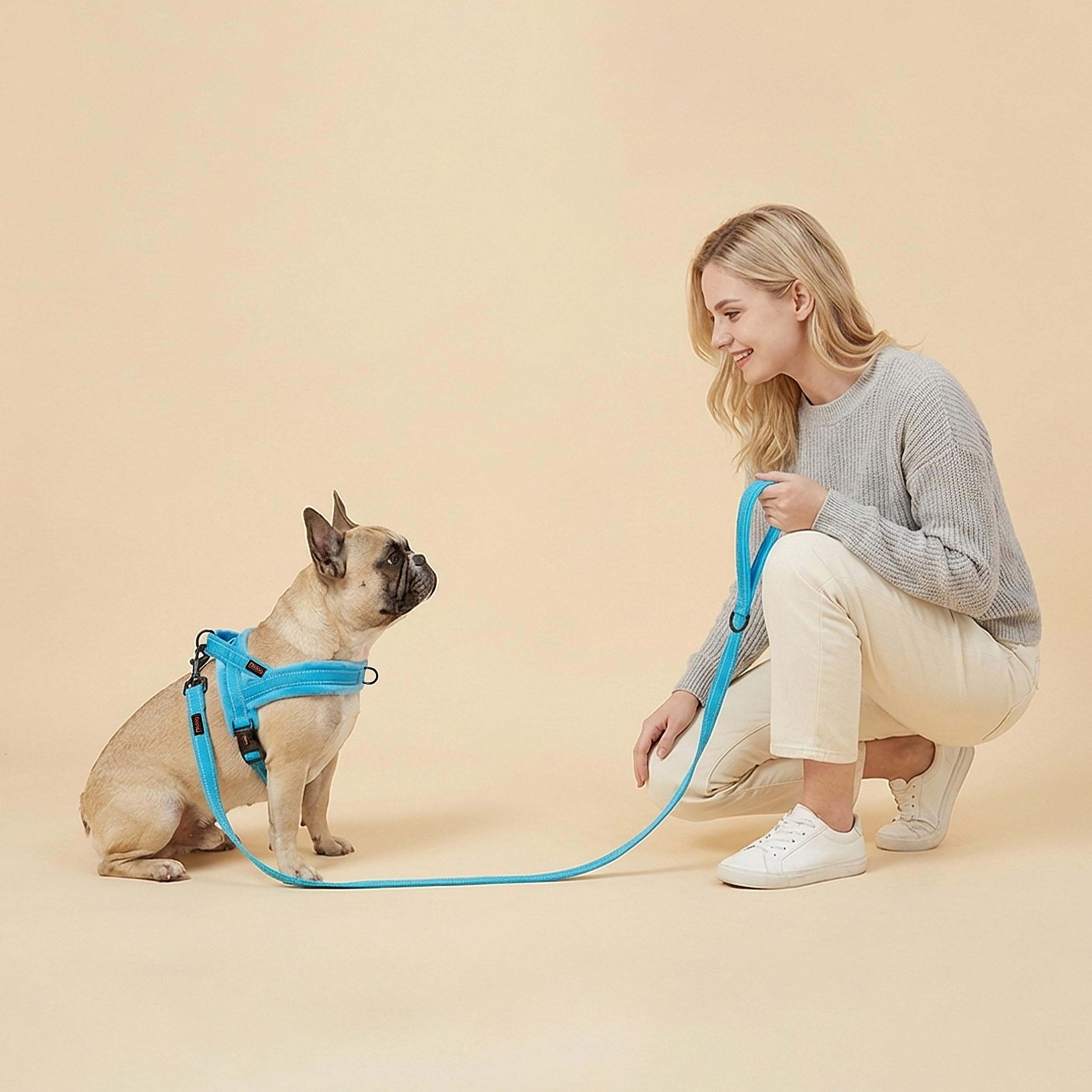 Didog Soft Flannel Padded Dog Vest Harness – No Pull, Quick Fit, Reflective – XS (Chest 15-18") Blue