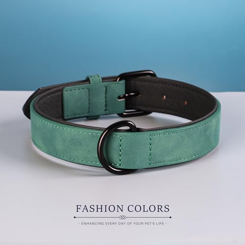 Didog Soft Padded PU Leather Dog Collar - Breathable, Adjustable, Comfortable for Medium Dogs - Green, Size L (Fits Neck 14-18", 22-44 lbs)