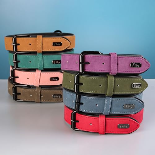 Didog Soft Padded PU Leather Dog Collar - Breathable, Adjustable, Comfortable for Medium Dogs - Green, Size L (Fits Neck 14-18", 22-44 lbs)