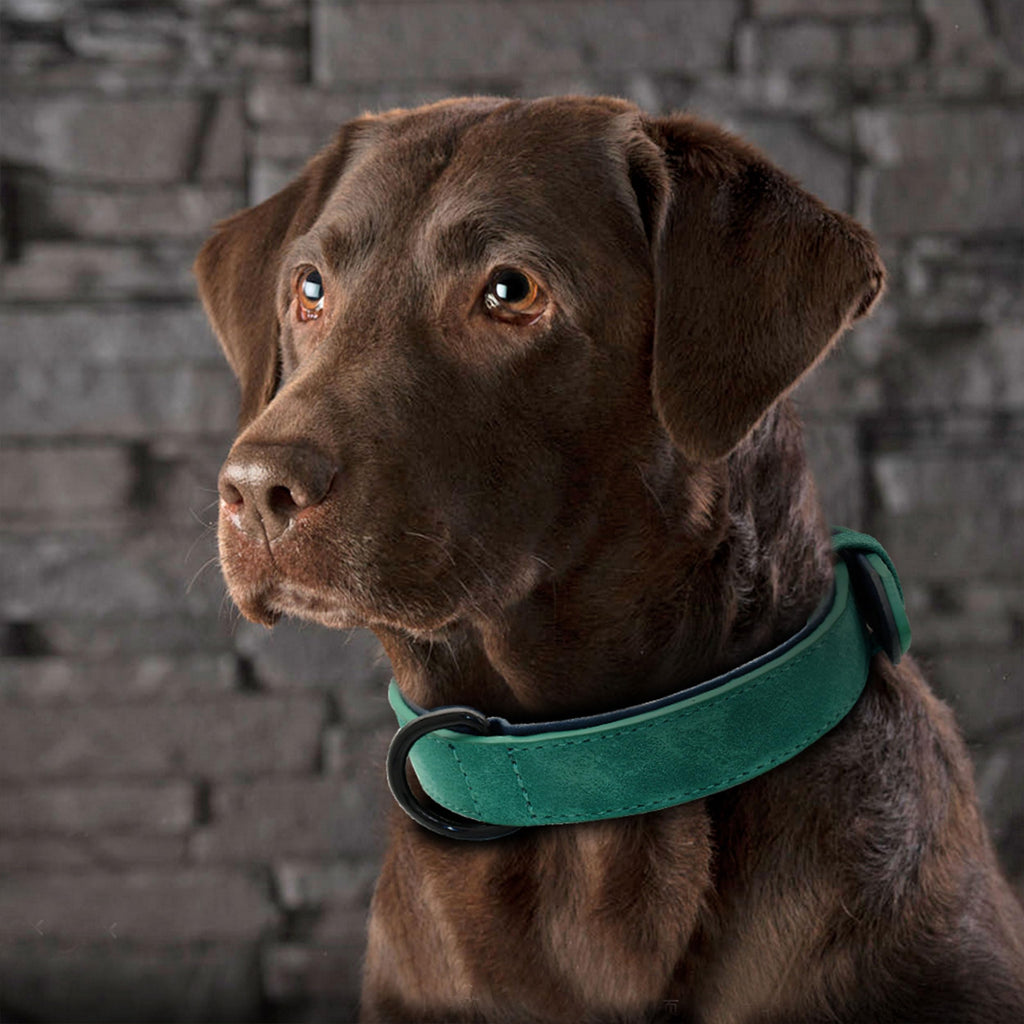 Didog Soft Padded PU Leather Dog Collar - Breathable, Adjustable, Comfortable for Medium Dogs - Green, Size L (Fits Neck 14-18", 22-44 lbs)