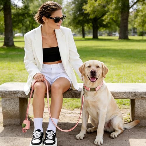 Didog Soft PU Leather Dog Collar for Large Dogs – Quick Release, Adjustable, Easy Clean – Pink (16-22 inch Neck)