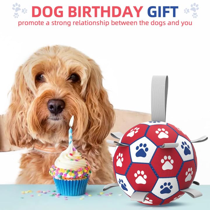 Diman 6-Inch Dog Ball with Straps for Small to Medium Dogs - Outdoor & Water Fetch Toy, Red