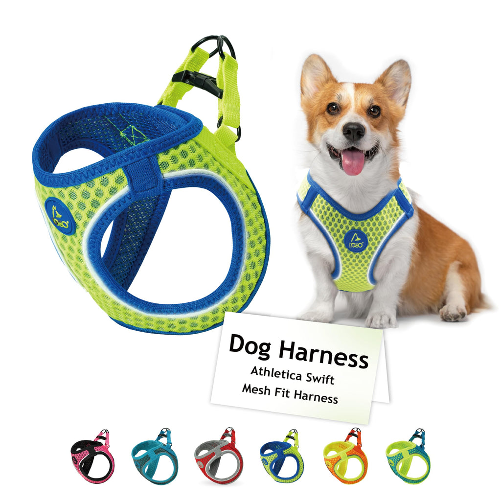 DOCO Athletica Adjustable Dog Harness – No Pull, No Choke, Reflective, Lime, Medium (Chest 16-17")