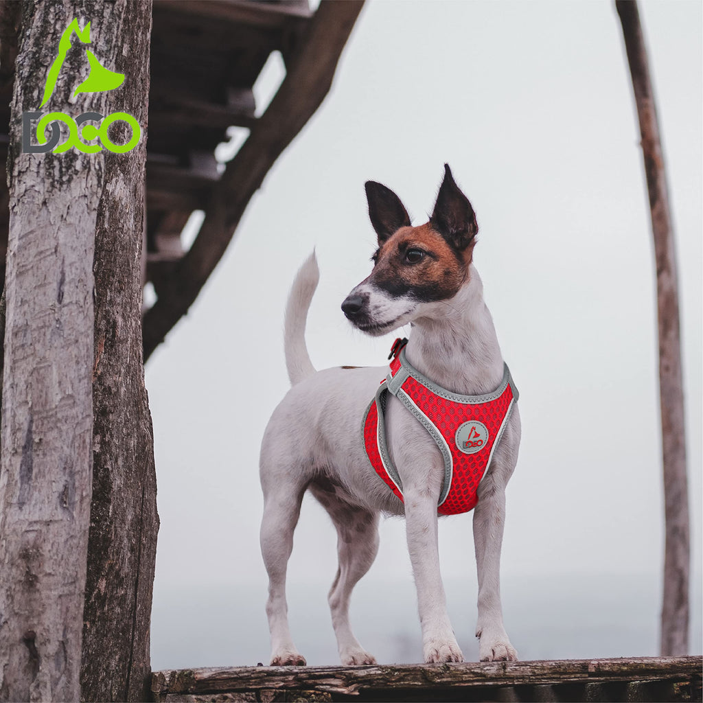 DOCO Athletica Adjustable Dog Harness – No Pull, No Choke, Reflective, Lime, Medium (Chest 16-17")
