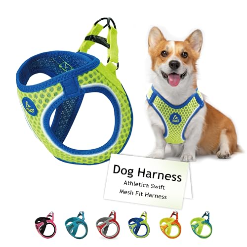 DOCO Athletica Adjustable Dog Harness – No Pull, No Choke, Reflective, Lime, Medium (Chest 16-17")