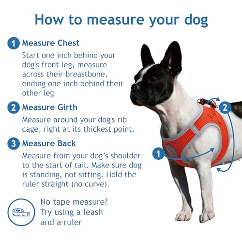 DOCO No Pull Dog Harness – Medium (16–17 in Chest, 10–15 lbs) – Hot Pink, Breathable Air Mesh Vest with Reflective Strips