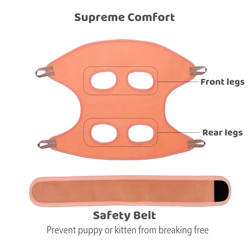 Dog Grooming Hammock by Guzekier – Orange, Small, with Nail Clippers & File