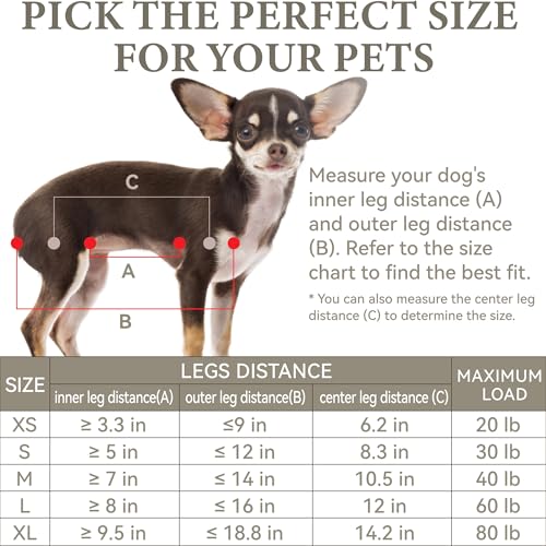 Dog Grooming Hammock for Nail Trimming – Loesuona Pet Sling with Safety Buckle, Includes Nail Clippers and Grooming Tools for Small Dogs (Size S, Green)
