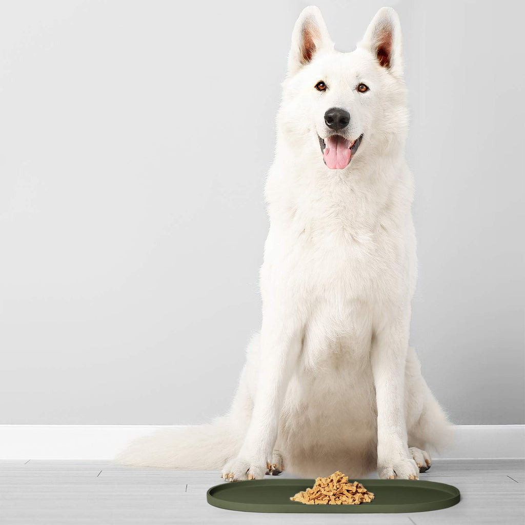 DogBuddy Silicone Pet Feeding Mat – Waterproof, Nonslip, Dishwasher Safe, Khaki Green Small