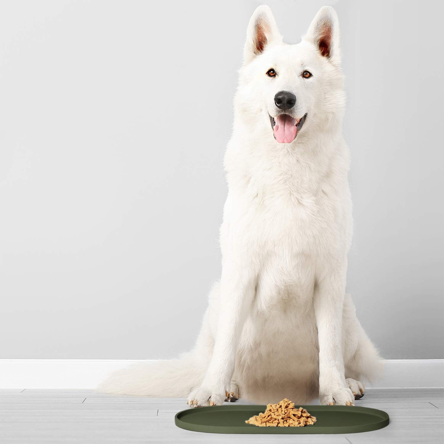 DogBuddy Silicone Pet Feeding Mat – Waterproof, Nonslip, Dishwasher Safe, Khaki Green Small