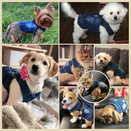 DOGGYZSTYLE Blue Denim Dog Jacket XXL – Soft Breathable Jean Coat for Small to Medium Dogs