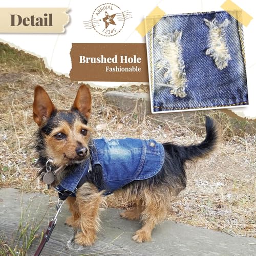 DOGGYZSTYLE Blue Denim Dog Jacket XXL – Soft Breathable Jean Coat for Small to Medium Dogs