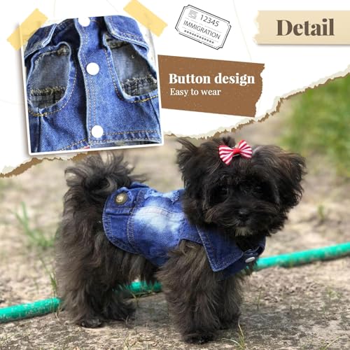 DOGGYZSTYLE Blue Denim Dog Jacket XXL – Soft Breathable Jean Coat for Small to Medium Dogs