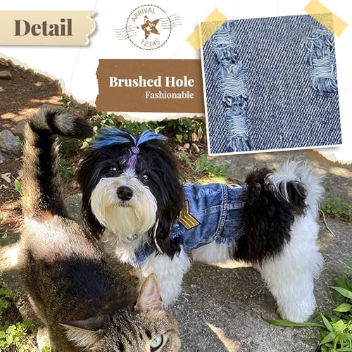 DOGGYZSTYLE Dog Jean Jacket: Soft Denim Vest for Small Pets (XXL, 15-20 lbs, Blue Print)