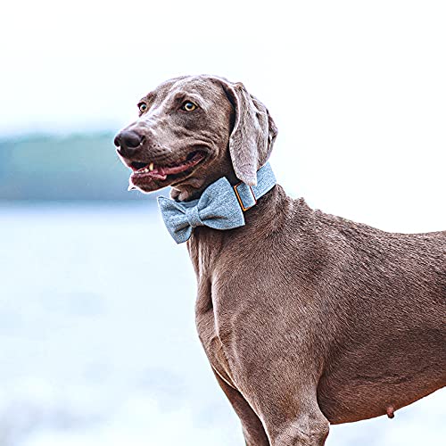 DOGWONG Hemp Cotton Dog Collar with Bow - Light Blue Check, Large Dogs