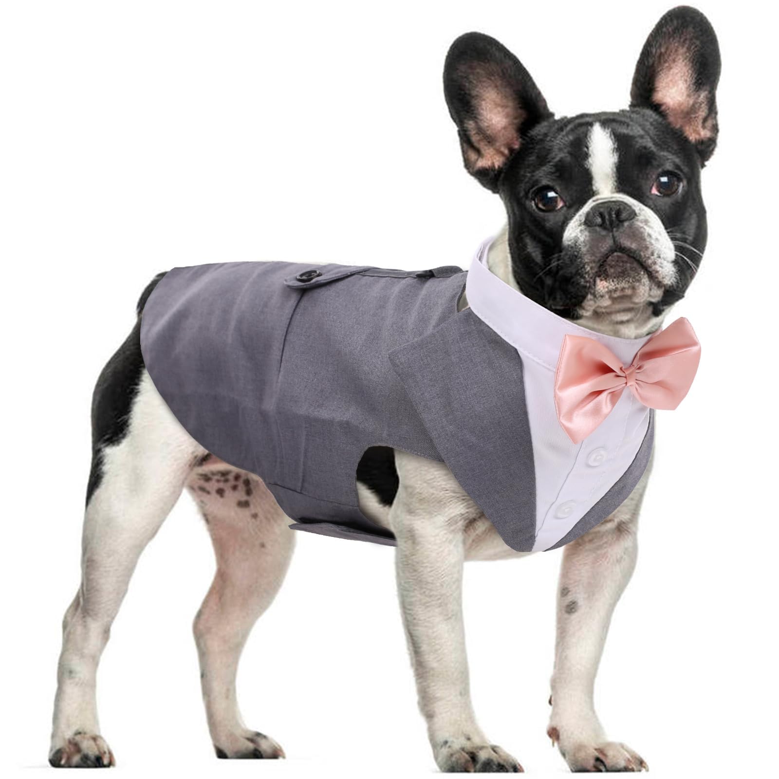 DORA BRIDAL Dog Tuxedo Set for Small Dogs – Grey, Size S with Bow Tie and D-Ring Leash Attachment