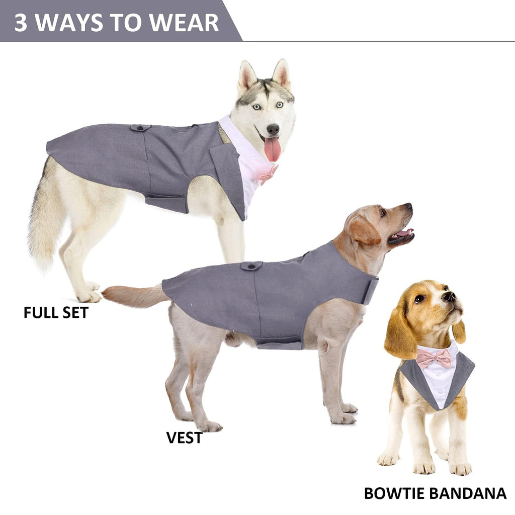 DORA BRIDAL Dog Tuxedo Set for Small Dogs – Grey, Size S with Bow Tie and D-Ring Leash Attachment
