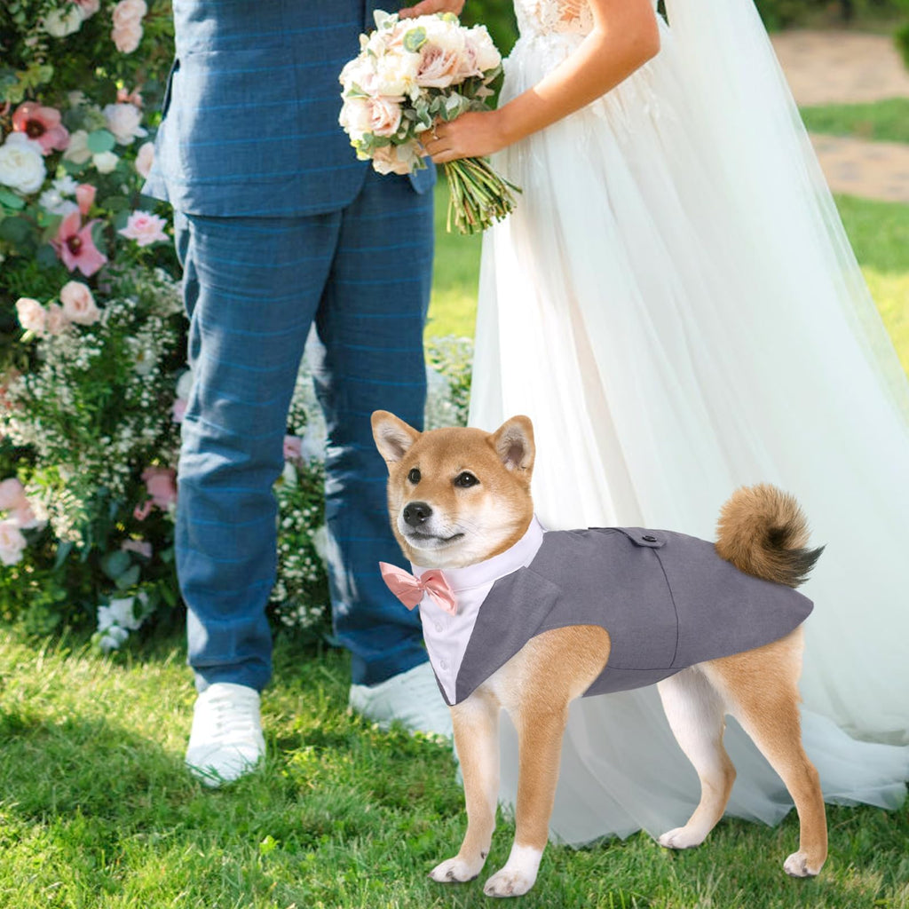 DORA BRIDAL Dog Tuxedo Set for Small Dogs – Grey, Size S with Bow Tie and D-Ring Leash Attachment