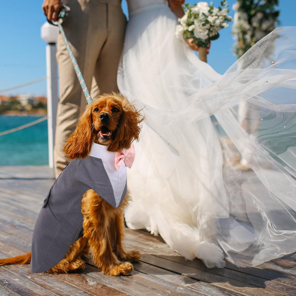 DORA BRIDAL Dog Tuxedo Set for Small Dogs – Grey, Size S with Bow Tie and D-Ring Leash Attachment