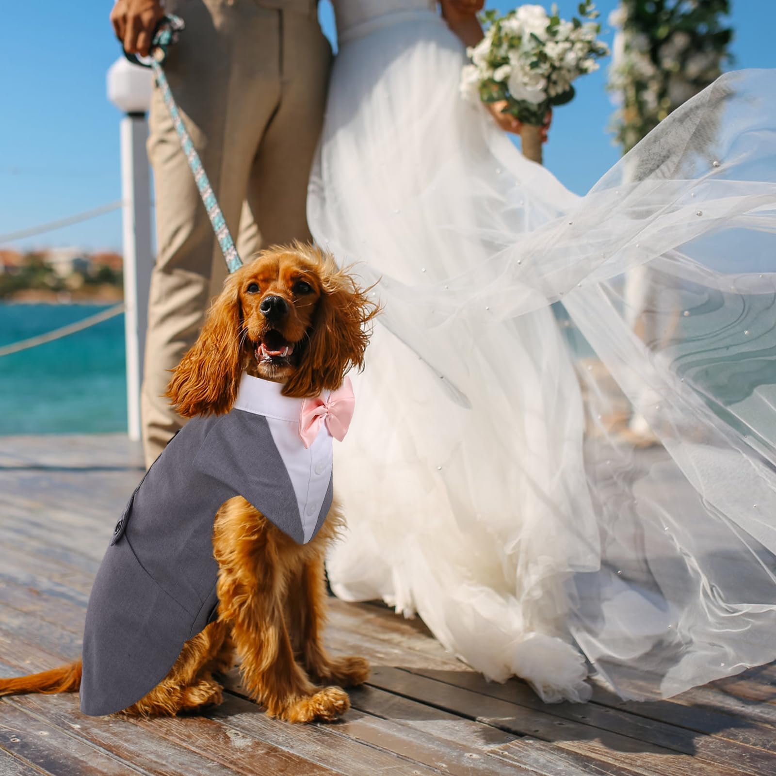 DORA BRIDAL Dog Tuxedo Set for Small Dogs – Grey, Size S with Bow Tie and D-Ring Leash Attachment