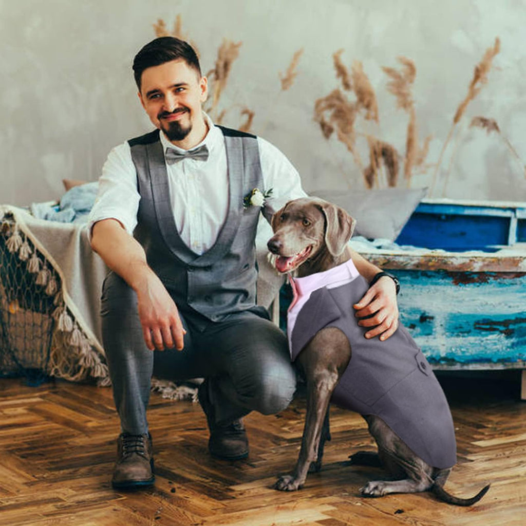 DORA BRIDAL Dog Tuxedo Set for Small Dogs – Grey, Size S with Bow Tie and D-Ring Leash Attachment