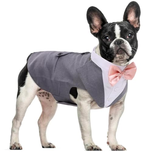 DORA BRIDAL Dog Tuxedo Set for Small Dogs – Grey, Size S with Bow Tie and D-Ring Leash Attachment