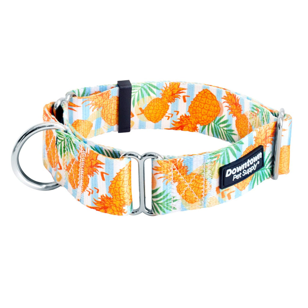 Downtown Pet Supply Pineapple Martingale Collar - X-Large (18.5-34 inch) - Escape-Proof Training Collar for Dogs