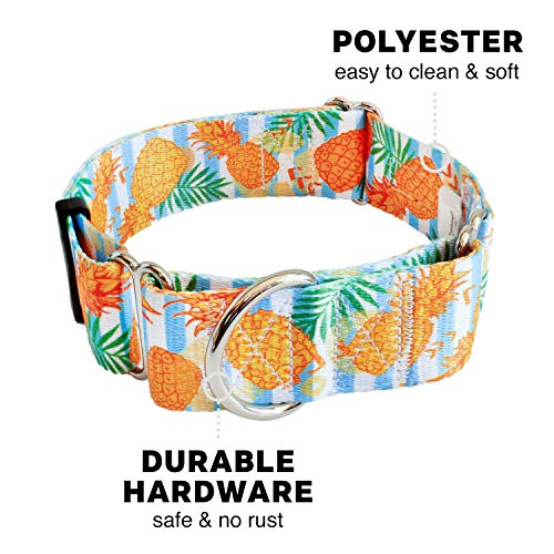 Downtown Pet Supply Pineapple Martingale Collar - X-Large (18.5-34 inch) - Escape-Proof Training Collar for Dogs