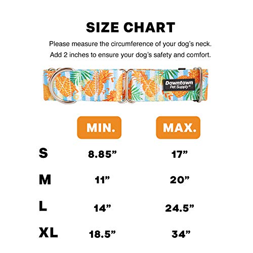 Downtown Pet Supply Pineapple Martingale Collar - X-Large (18.5-34 inch) - Escape-Proof Training Collar for Dogs