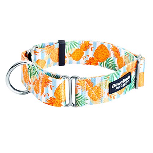 Downtown Pet Supply Pineapple Martingale Collar - X-Large (18.5-34 inch) - Escape-Proof Training Collar for Dogs