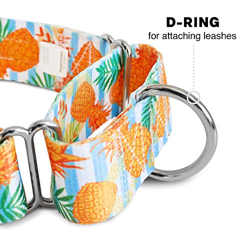 Downtown Pet Supply Pineapple Martingale Collar - X-Large (18.5-34 inch) - Escape-Proof Training Collar for Dogs