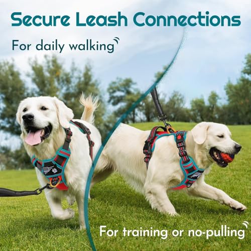 Eagloo Large Dog Harness with 3 Buckles, Reflective No-Pull Vest with Handle – Red & Teal