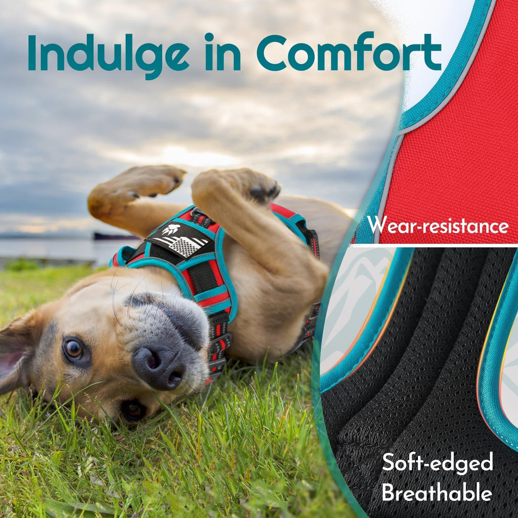 Eagloo Large Dog Harness with 3 Buckles, Reflective No-Pull Vest with Handle – Red & Teal