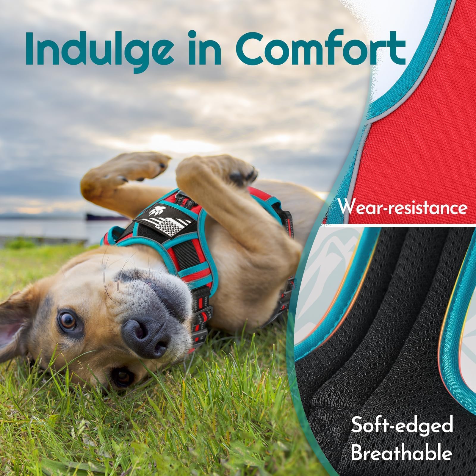 Eagloo Large Dog Harness with 3 Buckles, Reflective No-Pull Vest with Handle – Red & Teal