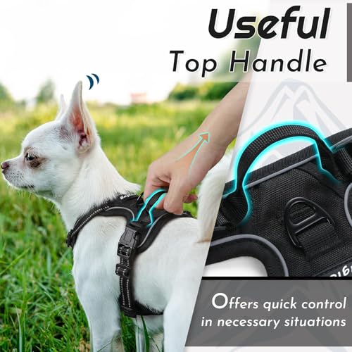 Eagloo Small Dog Harness No Pull – Black XS with Reflective Strips & Control Handle
