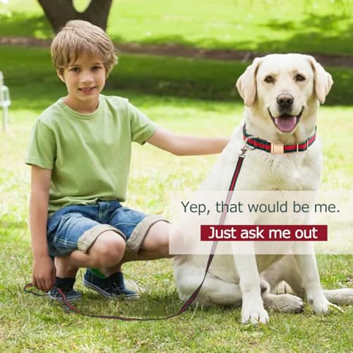 Echentie Adjustable Dog Collar and Leash Set - Metal Buckle, Nylon, 5ft Leash, Stripe Pattern, Size M for Medium Dogs