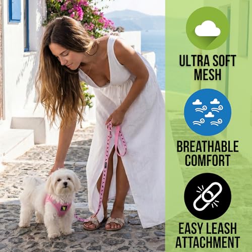 EcoBark Baby Pink Small Dog Harness – Soft Step-In Vest for Toy Breeds & Puppies (7-10 lbs)
