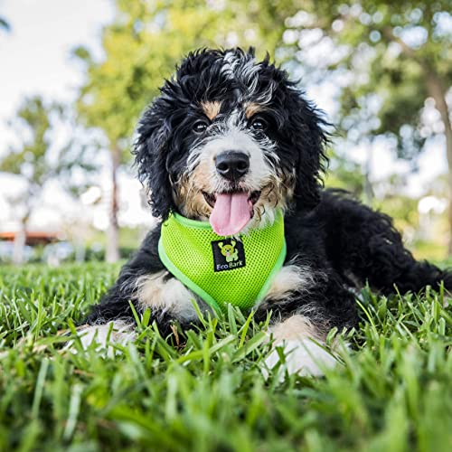 EcoBark Dog Harness Large Green – No Pull No Choke Vest with Recycled Straps